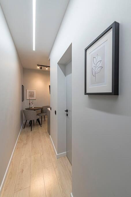 Lovely 1Bd Central Apartment By Hostlovers 考纳斯 外观 照片