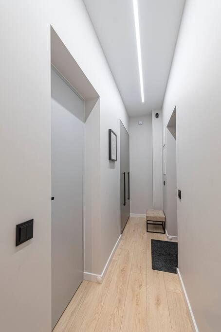 Lovely 1Bd Central Apartment By Hostlovers 考纳斯 外观 照片